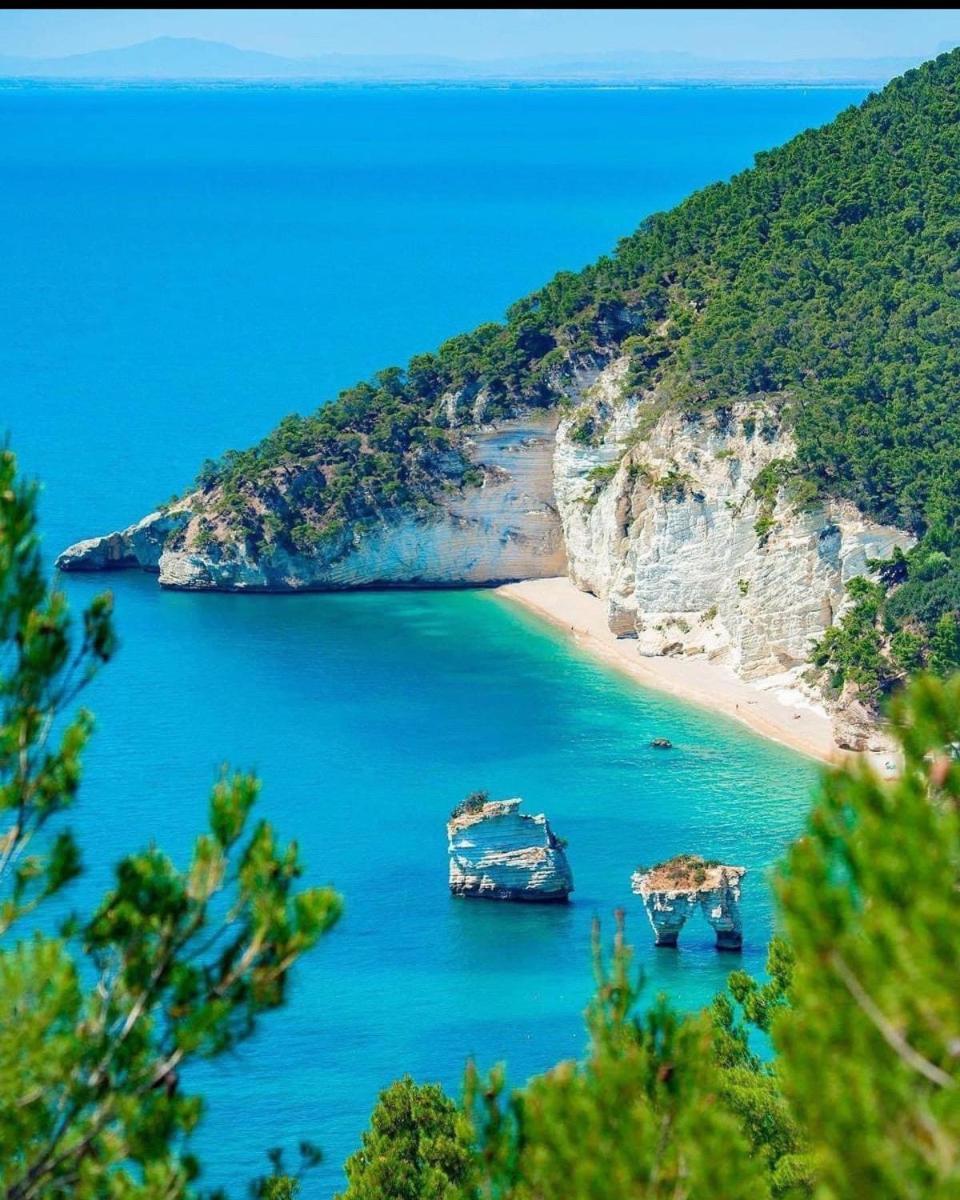 شقة Casa Gargano كاربينو المظهر الخارجي الصورة